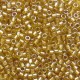 Miyuki delica Beads 11/0 - Sparkling honey beige lined chartreuse DB-909